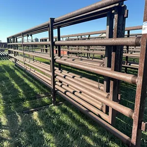 (4) HD 30Ft 5-Bar 2&7/8 Freestanding Panels