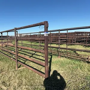 (2) HD 30 Ft Freestanding Panels With 12Ft & 8Ft Gates