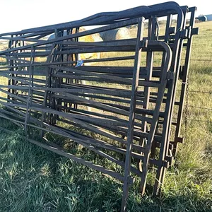 (10) Misc 10Ft Corral Panels