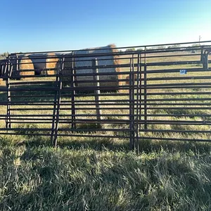 (5) Misc 12Ft Corral Panels