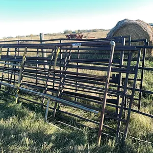 (7) Misc Gates