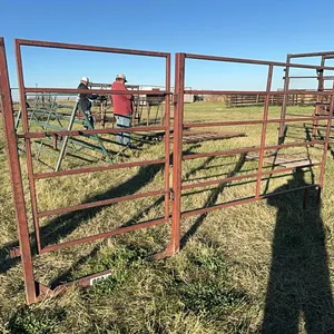 (2) HD Framed 12'W x 11.5'H  Gates