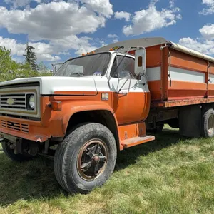 Chev 7 Single Axle Grain Truck; SN.1GBJ7DBXBV136394