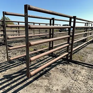 (2) HD 5 Bar 30FT Drill Stem Corral Panels