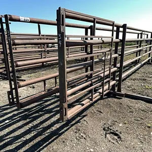 (2) HD 5 Bar 30FT Drill Stem Corral Panels With 4FT Gates