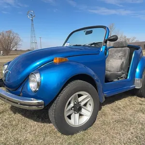 1971 Volkswagen Custom Mod Super Beetle, SN. 1112193448  C-8