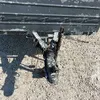 Balbi Equipment Trailer