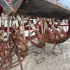 Carraro Darit 2 Seeder