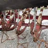 Carraro Darit 2 Seeder