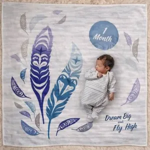 Native Northwest Feathers Baby Blanket and Milestone Set by Simone Diamond