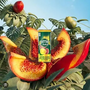Perrier & Juice Lemon & Guava Sparkling Beverage 12 x 330ml
