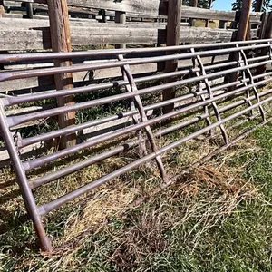 (1) 20' 5 bar steel gate