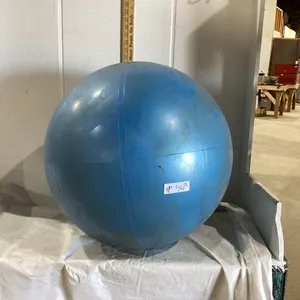 EXERCISE BALL
