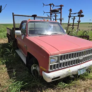 1981 Chevrolet Custom Deluxe 30 Dually Truck (Non-Runner)
 UNRESERVED