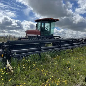 1996 Westward Swather w/ Macdon 960 Header
 UNRESERVED