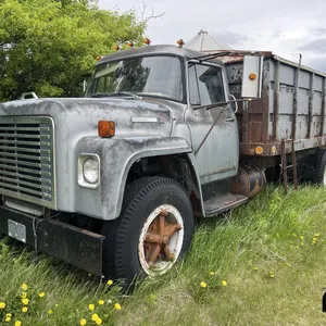 1976 International 1700 Loadstar Grain Truck (Non-Runner)
 UNRESERVED