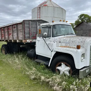 1977 International Loadstar 1600 Grain Truck
 UNRESERVED