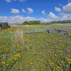 60' Harrow
 UNRESERVED