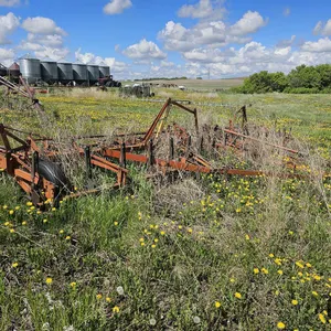 Morris Cultivator w/ Harrows
 UNRESERVED