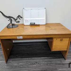 Wooden Desk (30'' x 59.5'' x 29'') w/ Whiteboard & T-Rex
 UNRESERVED