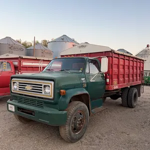 1975 Chevy C-60 single axle grain truck, 350 gas, 4+2, WestGo steel box and hoist with steel floor, swing out gate, roll tarp, plumbed for drill fill,