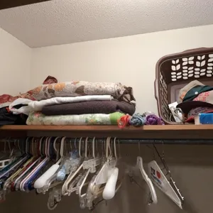 Hangers and top of closet contents