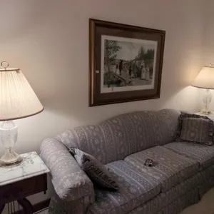 Pair lamps