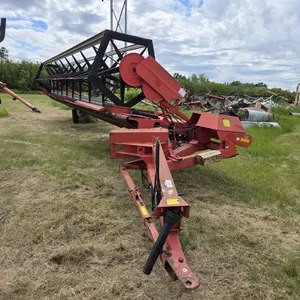 Massey 613 30' Swather
 UNRESERVED