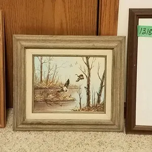 Three Framed Wildlife Art Prints Featuring Ducks