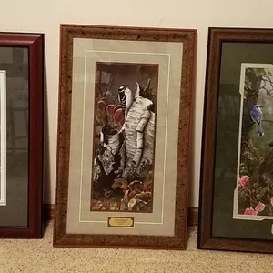 Framed Limited Edition Wildlife Prints by Larry Zach and Jerry Gadamus