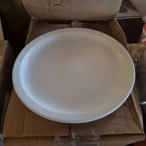 (12) 11" Ceramic Plates