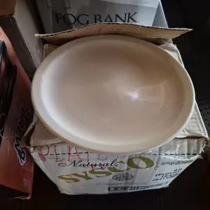(12) 11" Ceramic Plates