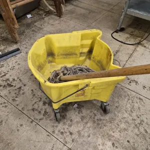 Mop Bucket with Mop
