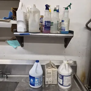 Assorted Cleaning Supplies with New Bottle of Freezer Cleaner