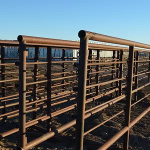 5 - 25' Self Standing Steel Panels, one panel includes 16' Gate 1" tubing