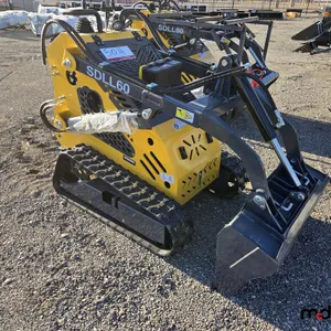 2025 Sdlanch SDLL60 Skid Steer Loader
 UNRESERVED