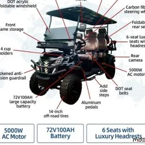 2025 Sdlanch SDLGC100 Golf Cart
 UNRESERVED