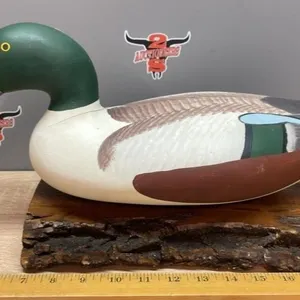 Mallard Drake on Live Edge Slab (Crack along neck)