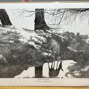Ducks Unlimited Signed/Numbered Print (1584/3000)