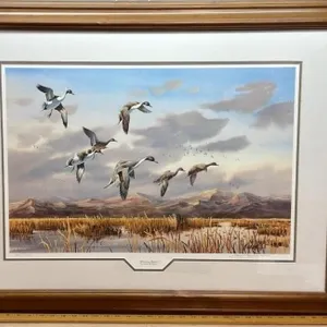 Framed Signed/Numbered (228/3200) Ducks Unlimited