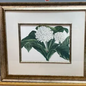 Framed Van Houtte Flore de Serres Botanical