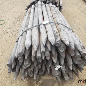 Approx. 6' Untreated Fence Posts
 UNRESERVED