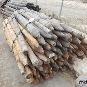 Approx. 6' Untreated Fence Posts
 UNRESERVED