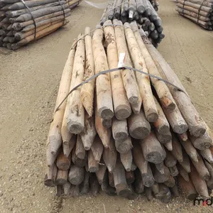 Approx. 6' Untreated Fence Posts
 UNRESERVED