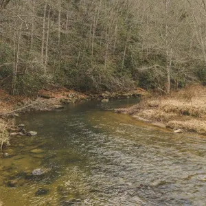 Acreage for Sale on Little Reed Island Creek