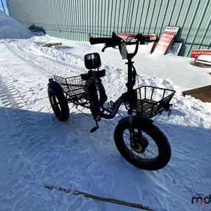 MoonCool 3-Wheeler Electric Bike
 UNRESERVED