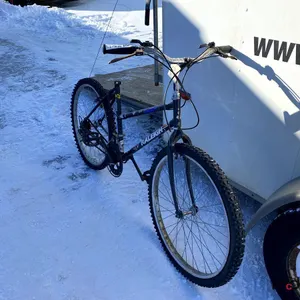 Raleigh Bicycle
 UNRESERVED