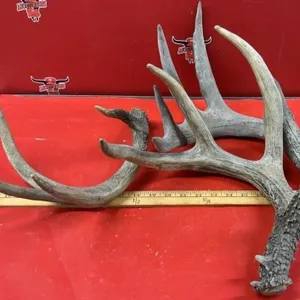Deer Sheds *NO SHIPPING
