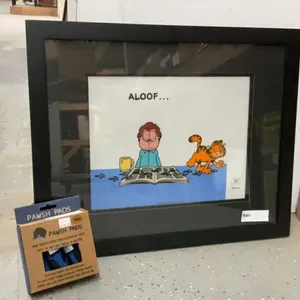 PAWSH PADS PAW PROTECTORS & GARFIELD PICTURE