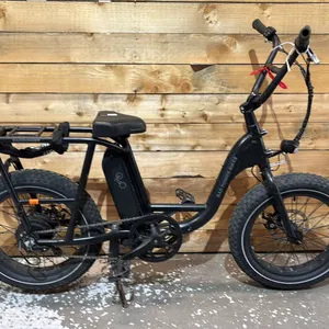 *POWERS ON* RAD POWER BIKES RADRUNNER E-BIKE WITH BATTERY (NO KEY, NO CHARGER, UNKNOWN WORKING